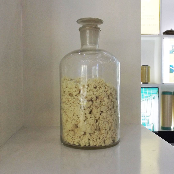 ���ڽ���