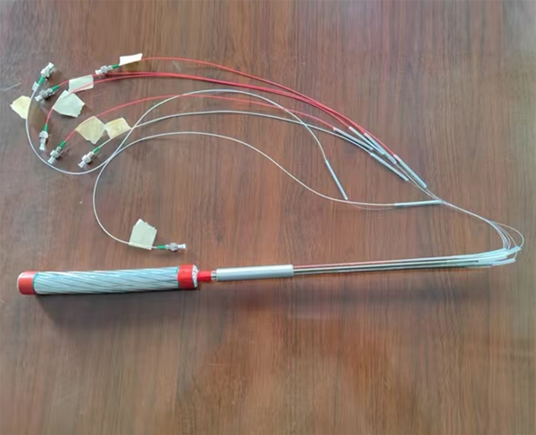 ���˼�����̼��ά����о����