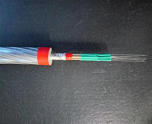 ���˼�����̼��ά����о����